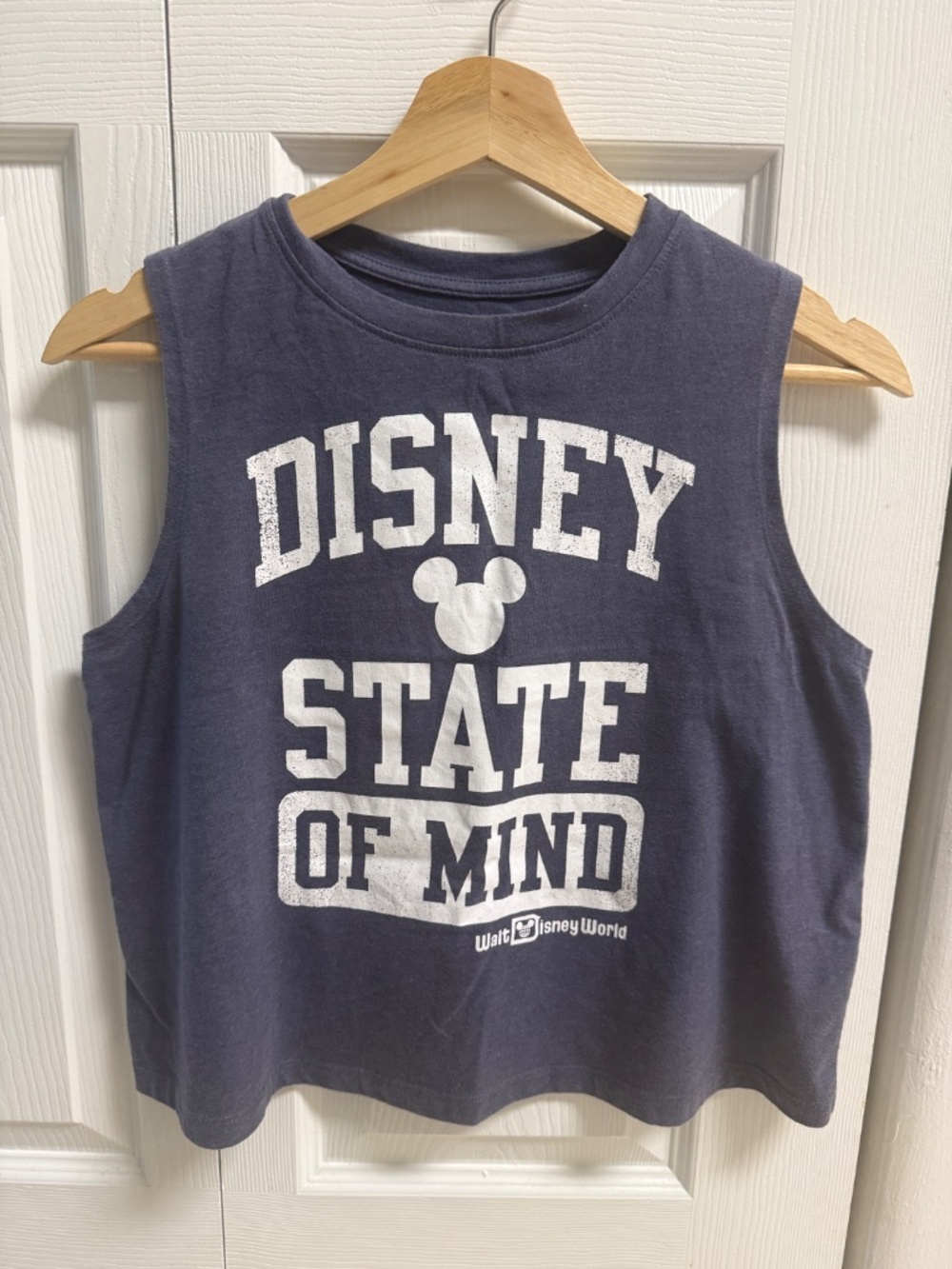 Disney State of Mind Cropped Tank Top | Walt Disney World | Blue | Small